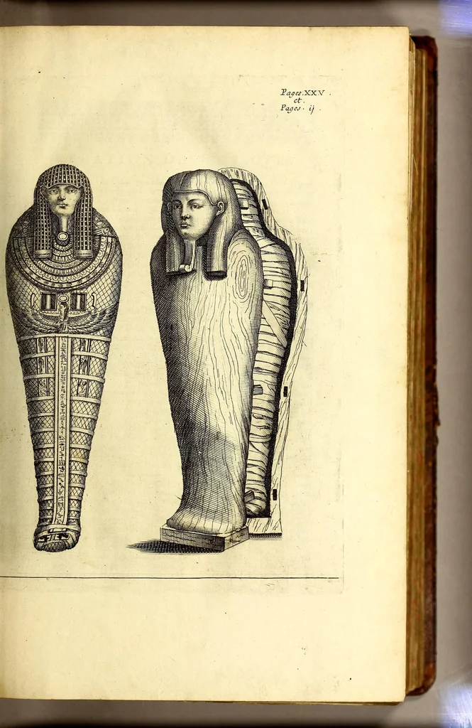 An illustration from Relations de divers voyages curieux, qui n'ont point esté publiees; : ov qvi ont esté traduites d'Haclvyt; de Purchas, & d'autres voyageurs anglois, hollandois, portugais, allemands, espagnols; et de qvelqves Persans, Arabes, et avtres auteurs orientaux. Enrichies de figures de plantes non décrites, d'animaux inconnus à l'Europe, & de cartes geographiques de pays dont on n'a point encore donné de cartes, 1664, leaf 51