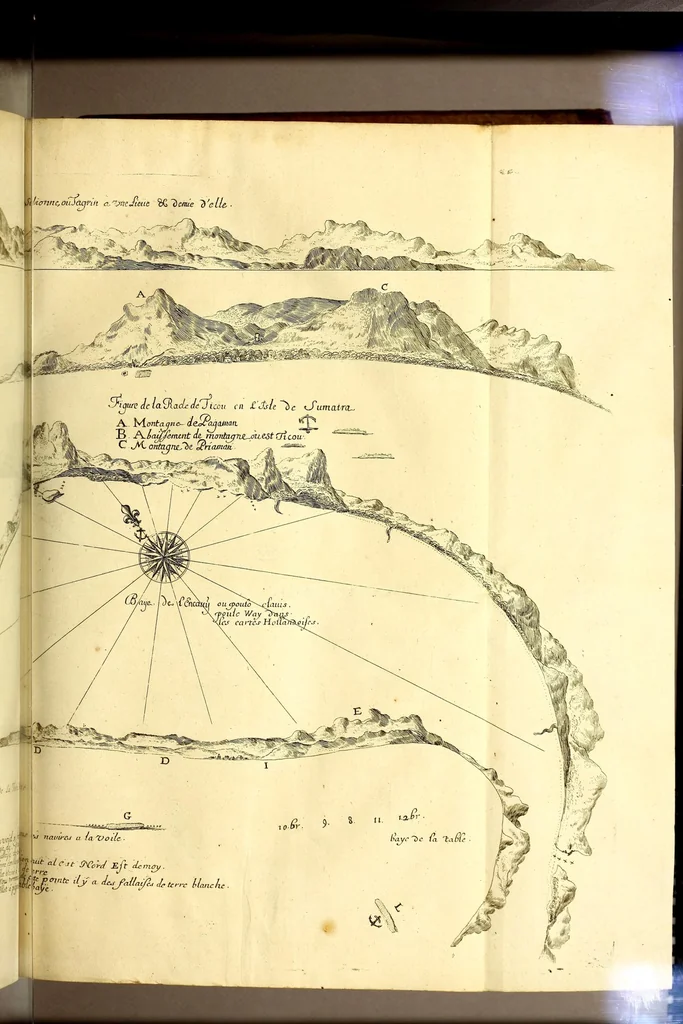 An illustration from Relations de divers voyages curieux, qui n'ont point esté publiees; : ov qvi ont esté traduites d'Haclvyt; de Purchas, & d'autres voyageurs anglois, hollandois, portugais, allemands, espagnols; et de qvelqves Persans, Arabes, et avtres auteurs orientaux. Enrichies de figures de plantes non décrites, d'animaux inconnus à l'Europe, & de cartes geographiques de pays dont on n'a point encore donné de cartes, 1664, leaf 635