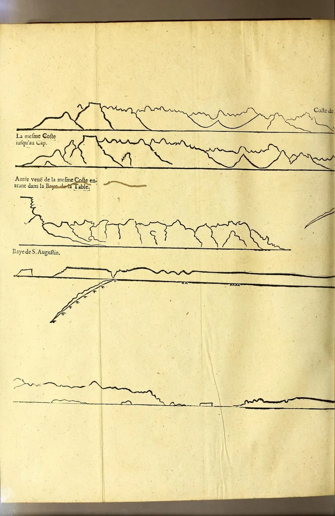 An illustration from Relations de divers voyages curieux, qui n'ont point esté publiees; : ov qvi ont esté traduites d'Haclvyt; de Purchas, & d'autres voyageurs anglois, hollandois, portugais, allemands, espagnols; et de qvelqves Persans, Arabes, et avtres auteurs orientaux. Enrichies de figures de plantes non décrites, d'animaux inconnus à l'Europe, & de cartes geographiques de pays dont on n'a point encore donné de cartes, 1664, leaf 648