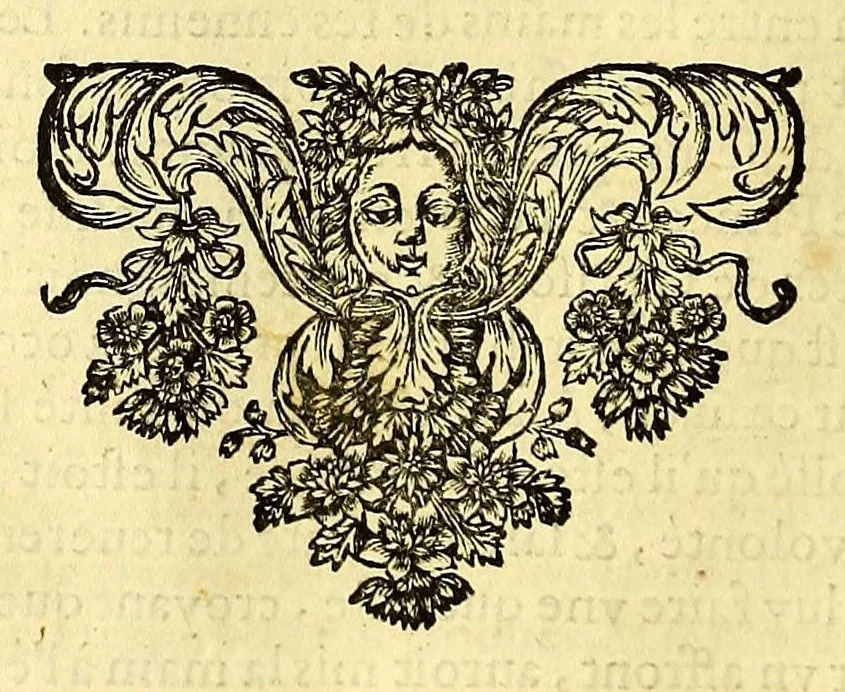 An illustration from Relations de divers voyages curieux, qui n'ont point esté publiees; : ov qvi ont esté traduites d'Haclvyt; de Purchas, & d'autres voyageurs anglois, hollandois, portugais, allemands, espagnols; et de qvelqves Persans, Arabes, et avtres auteurs orientaux. Enrichies de figures de plantes non décrites, d'animaux inconnus à l'Europe, & de cartes geographiques de pays dont on n'a point encore donné de cartes, 1664, leaf 212