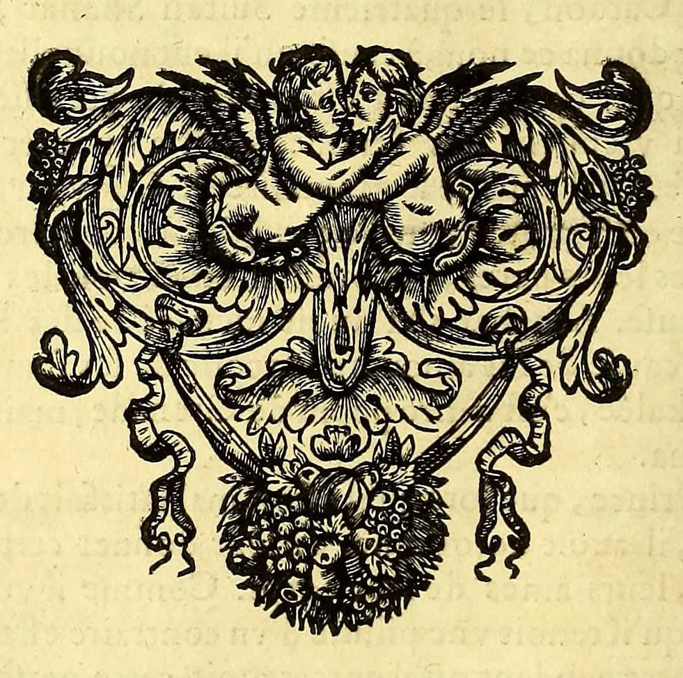 An illustration from Relations de divers voyages curieux, qui n'ont point esté publiees; : ov qvi ont esté traduites d'Haclvyt; de Purchas, & d'autres voyageurs anglois, hollandois, portugais, allemands, espagnols; et de qvelqves Persans, Arabes, et avtres auteurs orientaux. Enrichies de figures de plantes non décrites, d'animaux inconnus à l'Europe, & de cartes geographiques de pays dont on n'a point encore donné de cartes, 1664, leaf 282
