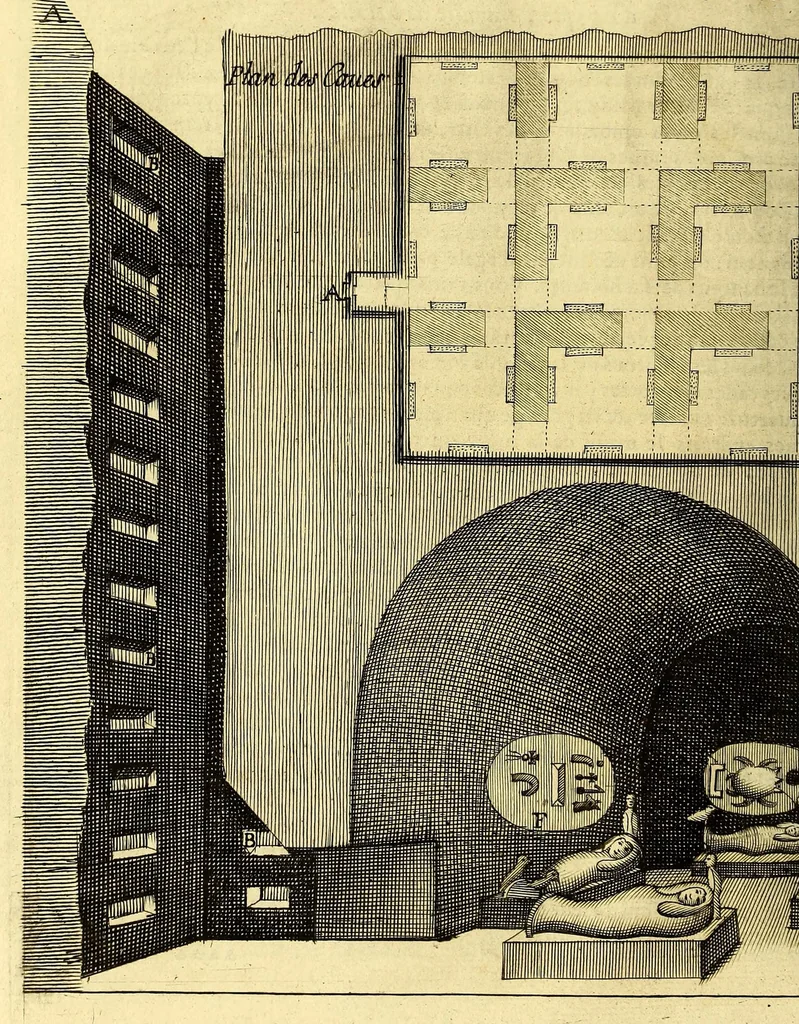 An illustration from Relations de divers voyages curieux, qui n'ont point esté publiees; : ov qvi ont esté traduites d'Haclvyt; de Purchas, & d'autres voyageurs anglois, hollandois, portugais, allemands, espagnols; et de qvelqves Persans, Arabes, et avtres auteurs orientaux. Enrichies de figures de plantes non décrites, d'animaux inconnus à l'Europe, & de cartes geographiques de pays dont on n'a point encore donné de cartes, 1664, leaf 50