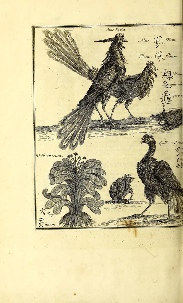 An illustration from Relations de divers voyages curieux, qui n'ont point esté publiees; : ov qvi ont esté traduites d'Haclvyt; de Purchas, & d'autres voyageurs anglois, hollandois, portugais, allemands, espagnols; et de qvelqves Persans, Arabes, et avtres auteurs orientaux. Enrichies de figures de plantes non décrites, d'animaux inconnus à l'Europe, & de cartes geographiques de pays dont on n'a point encore donné de cartes, 1664, leaf 810