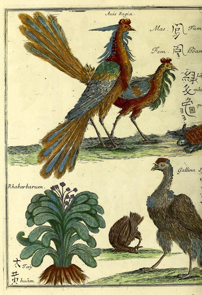 An illustration from Relations de divers voyages curieux, qui n'ont point esté publiees; : ov qvi ont esté traduites d'Haclvyt; de Purchas, & d'autres voyageurs anglois, hollandois, portugais, allemands, espagnols; et de qvelqves Persans, Arabes, et avtres auteurs orientaux. Enrichies de figures de plantes non décrites, d'animaux inconnus à l'Europe, & de cartes geographiques de pays dont on n'a point encore donné de cartes, 1664, leaf 814
