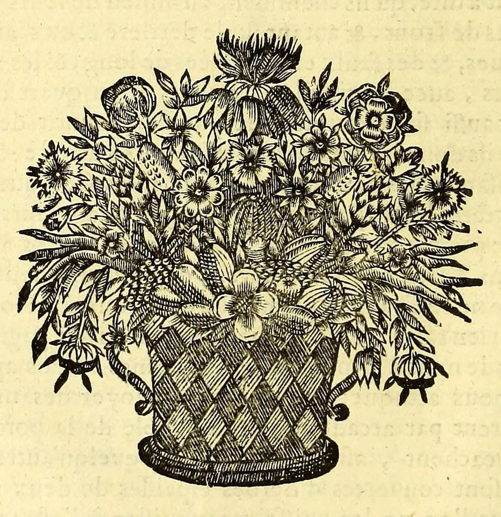 An illustration from Relations de divers voyages curieux, qui n'ont point esté publiees; : ov qvi ont esté traduites d'Haclvyt; de Purchas, & d'autres voyageurs anglois, hollandois, portugais, allemands, espagnols; et de qvelqves Persans, Arabes, et avtres auteurs orientaux. Enrichies de figures de plantes non décrites, d'animaux inconnus à l'Europe, & de cartes geographiques de pays dont on n'a point encore donné de cartes, 1664, leaf 82