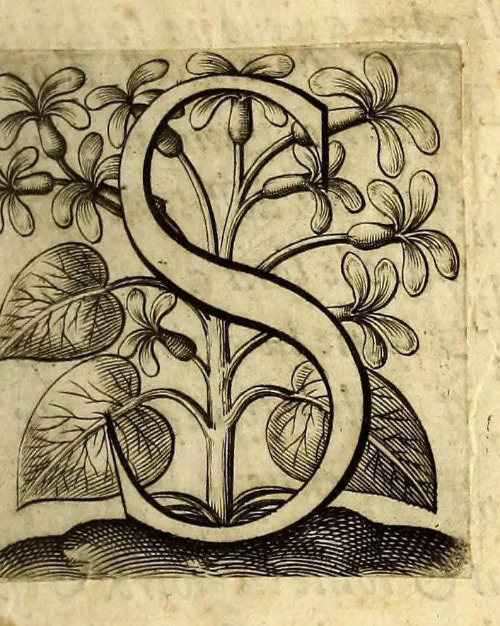 An illustration from Relations de divers voyages curieux, qui n'ont point esté publiees; : ov qvi ont esté traduites d'Haclvyt; de Purchas, & d'autres voyageurs anglois, hollandois, portugais, allemands, espagnols; et de qvelqves Persans, Arabes, et avtres auteurs orientaux. Enrichies de figures de plantes non décrites, d'animaux inconnus à l'Europe, & de cartes geographiques de pays dont on n'a point encore donné de cartes, 1664, leaf 9