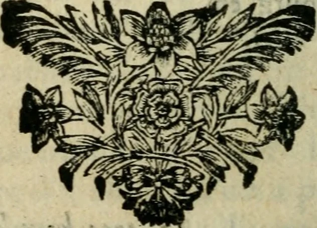 An illustration from Relations historiques et curieuses de voyages, en Allemagne, Angleterre, Hollande, Boheme, Suisse, &c., 1676, leaf 111