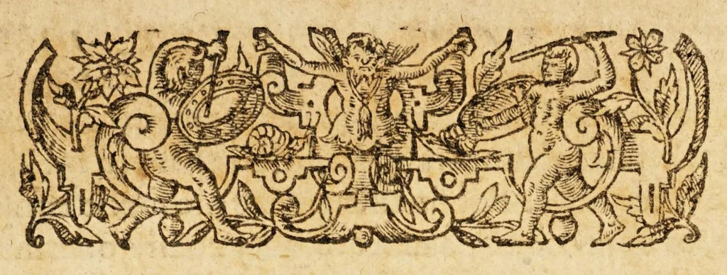 An illustration from Relations, of the most famous kingdoms and common-weales thorough the world. : Discoursing of their scituations, manners, customes, strengthes and pollicies., 1608, leaf 11