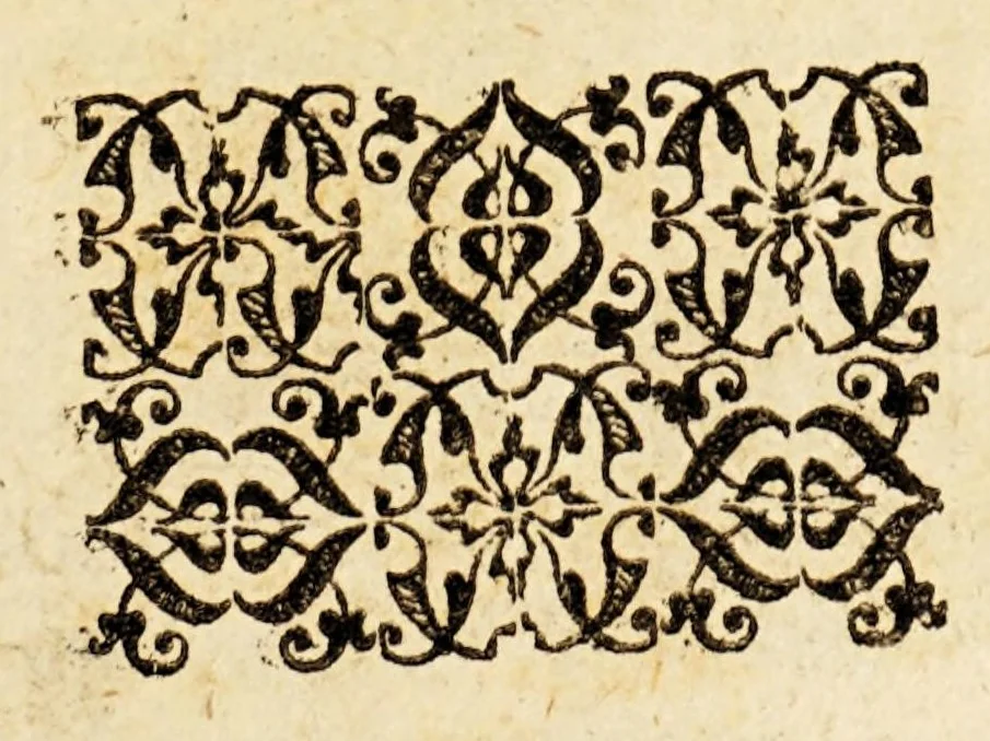 An illustration from Relations, of the most famous kingdoms and common-weales thorough the world. : Discoursing of their scituations, manners, customes, strengthes and pollicies., 1608, leaf 7