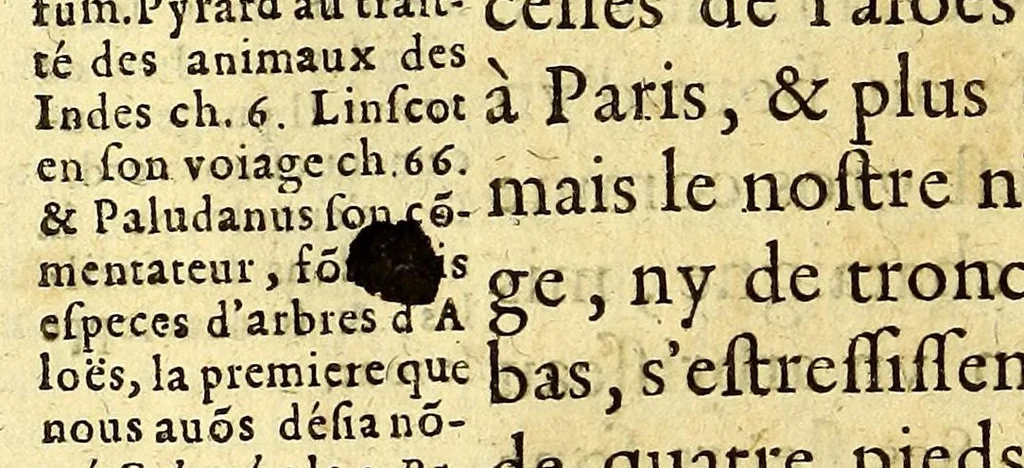 An illustration from Relations veritables et curieuses de l'isle de Madagascar, et du Bresil. : Auec l'histoire de la derniere guerre faite au Bresil, entre les Portugais et les Hollandois. ; Trois relations d'Egypte, & vne du royaume de Perse, 1651, leaf 176