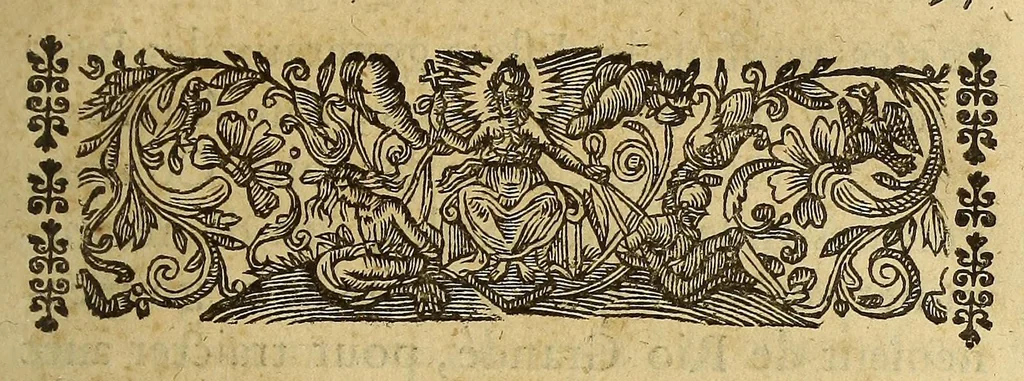 An illustration from Relations veritables et curieuses de l'isle de Madagascar, et du Bresil. : Auec l'histoire de la derniere guerre faite au Bresil, entre les Portugais et les Hollandois. ; Trois relations d'Egypte, & vne du royaume de Perse, 1651, leaf 219