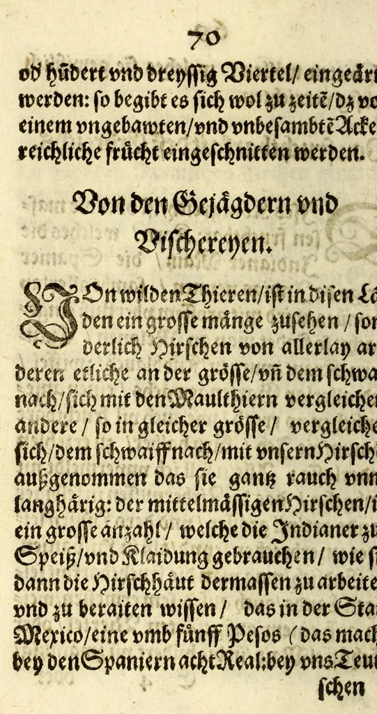 An illustration from Relatio. Welche Philippo. IV. König in Hispanien, & c. R.P.F. Ioannes de Santander ... durch R.P.F. Alphonsum de Benavides ... vbergeben lassen. ..., 1634, leaf 78