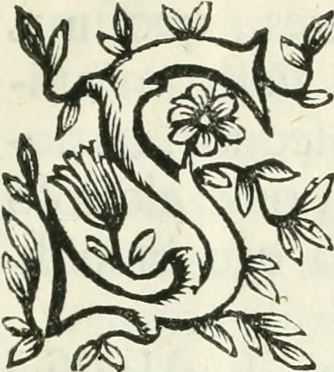 An illustration from Relazione dell'eseqvie fatte dall'illvstrissima citta di Lodi per la morte della Sacra Maesta della reina di Spagna Maria Lvisa di Borbone nella Chiesa della Santissima Coronata, il dì 12. maggio 1689, 1689, leaf 34