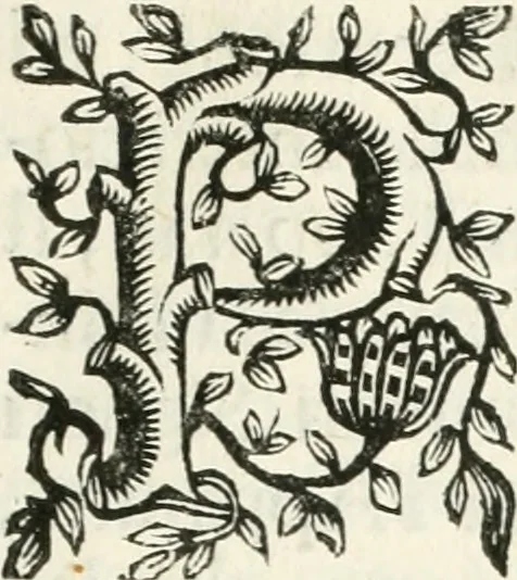 An illustration from Relazione dell'eseqvie fatte dall'illvstrissima citta di Lodi per la morte della Sacra Maesta della reina di Spagna Maria Lvisa di Borbone nella Chiesa della Santissima Coronata, il dì 12. maggio 1689, 1689, leaf 8