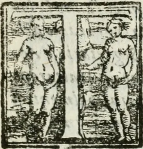 An illustration from Relazione del torneo a cauallo, e a piedi : fatto questo carneuale in Ferrara per ordine dell'Accademia : doue s'intende il grande apparato, e la marauigliosa inuenzione del sig. Enzo Bentiuogli nel comparire a mantenerlo : con la descrizione delle pompose liuree de' caualieri combattenti, 1612, leaf 6