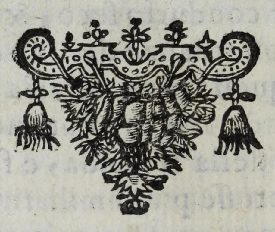 An illustration from Relazioni del gran santo di Padoua Antonio, e dell' alte sue marauiglie, così auanti come doppo morte, diuise in duo libri, 1654, leaf 42