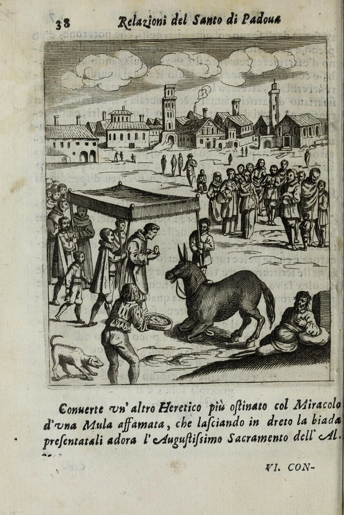 An illustration from Relazioni del gran santo di Padoua Antonio, e dell' alte sue marauiglie, così auanti come doppo morte, diuise in duo libri, 1654, leaf 64