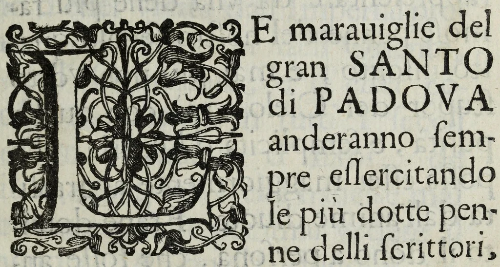 An illustration from Relazioni del gran santo di Padoua Antonio, e dell' alte sue marauiglie, così auanti come doppo morte, diuise in duo libri, 1654, leaf 9
