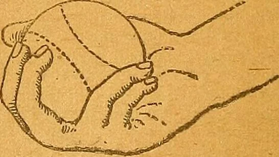 An illustration from The reliable book of outdoor games. Containing official rules for playing base ball, foot ball, cricket, lacrosse, tennis, croquet, etc, 1893, leaf 11