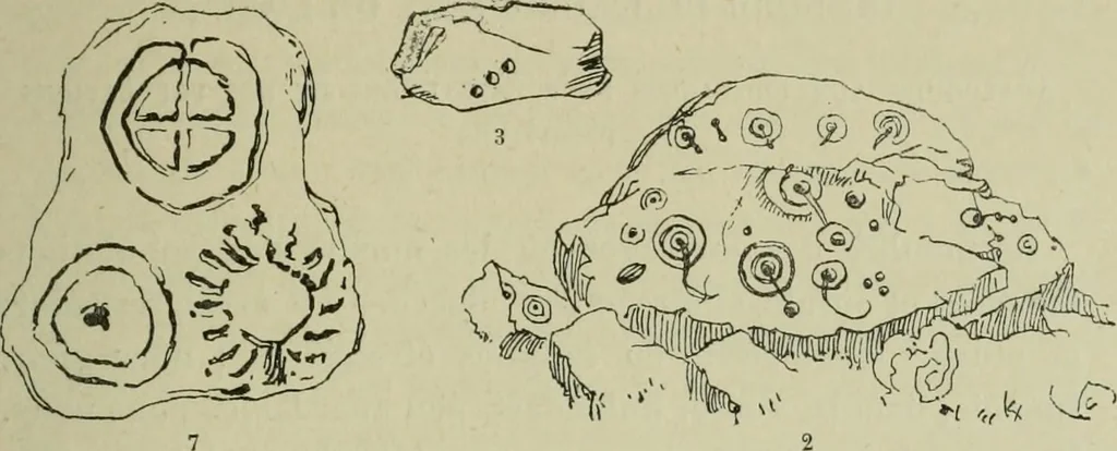 An illustration from La religion des Gaulois : les Druides et la druidisme : leçons professées à l'École du Louvre en 1896, 1897, leaf 106