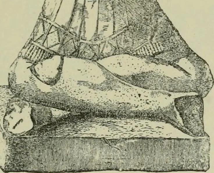 An illustration from La religion des Gaulois : les Druides et la druidisme : leçons professées à l'École du Louvre en 1896, 1897, leaf 178