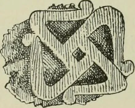 An illustration from La religion des Gaulois : les Druides et la druidisme : leçons professées à l'École du Louvre en 1896, 1897, leaf 186