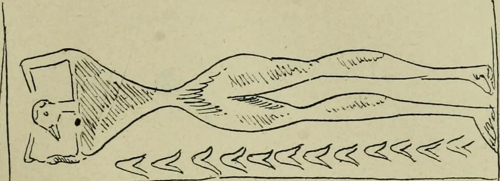 An illustration from La religion des Gaulois : les Druides et la druidisme : leçons professées à l'École du Louvre en 1896, 1897, leaf 212