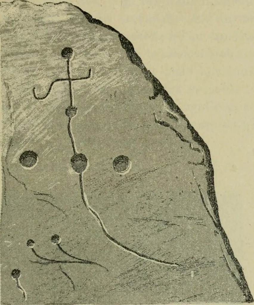 An illustration from La religion des Gaulois : les Druides et la druidisme : leçons professées à l'École du Louvre en 1896, 1897, leaf 90