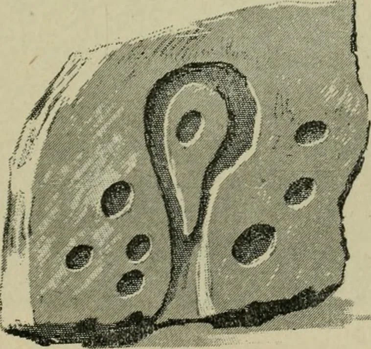 An illustration from La religion des Gaulois : les Druides et la druidisme : leçons professées à l'École du Louvre en 1896, 1897, leaf 90