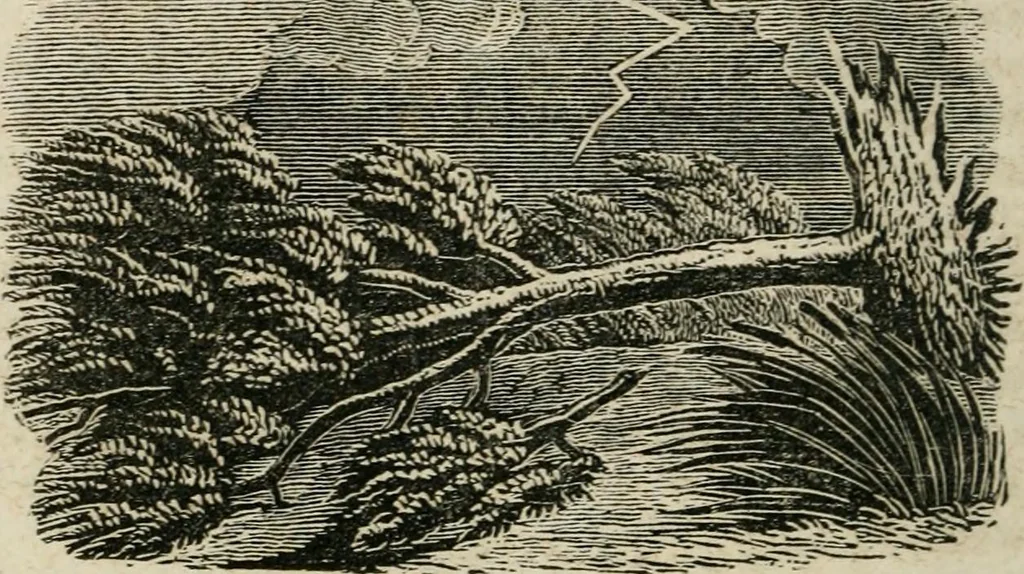 An illustration from Religious allegories : being a series of emblematic engravings, with written explanations, miscellaneous observations, and religious reflections, designed to illustrate divine truth, in accordance with the cardinal principles of Christianity, 1848, leaf 143