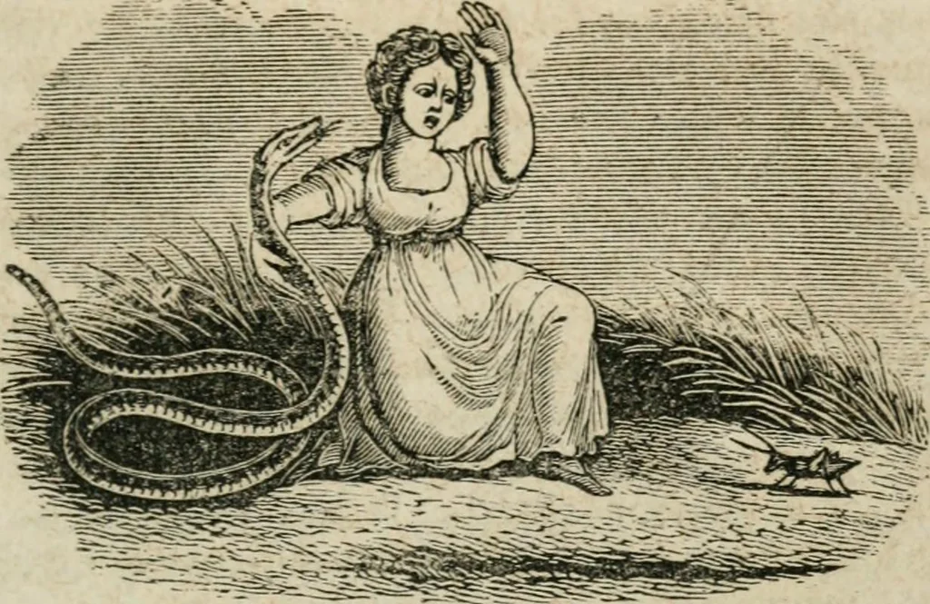 An illustration from Religious allegories : being a series of emblematic engravings, with written explanations, miscellaneous observations, and religious reflections, designed to illustrate divine truth, in accordance with the cardinal principles of Christianity, 1848, leaf 74