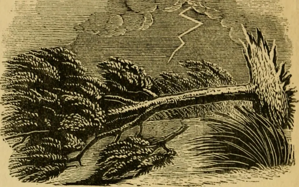 An illustration from Religious emblems and allegories : a series of engravings, with suitable letter-press, designed to illustrate divine truth, 1868, leaf 121