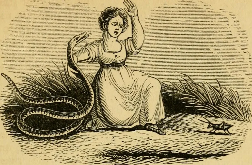 An illustration from Religious emblems and allegories : a series of engravings, with suitable letter-press, designed to illustrate divine truth, 1868, leaf 66