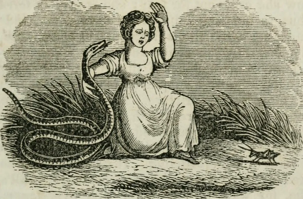 An illustration from Religious emblems : being a series of emblematic engravings, with written explanations, miscellaneous observations and religious reflections, designed to illustrate divine truth, in accordance with the cardinal principles of Christianity ; Religious allegories : being a series of emblematic engravings, with written explanations, miscellaneous observations, and religious reflections, designed to illustrate divine truth, in accordance with the cardinal principles of Christianity, 1851, leaf 78