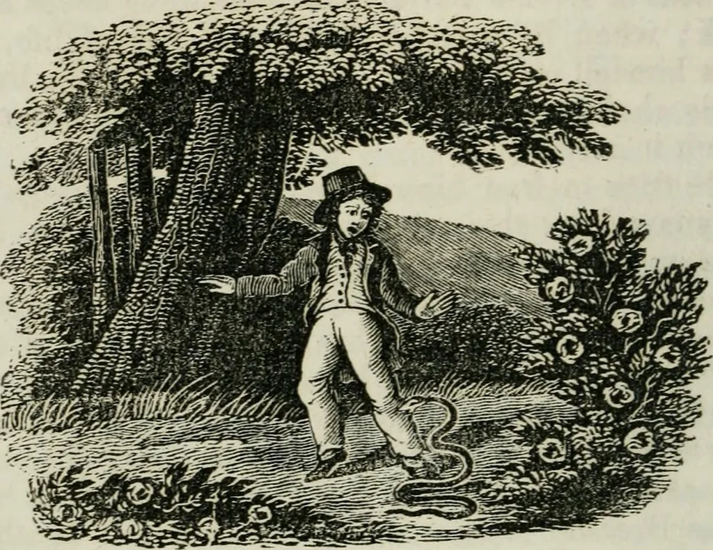 An illustration from Religious emblems : being a series of emblematic engravings, with written explanations, miscellaneous observations and religious reflections, designed to illustrate divine truth, in accordance with the cardinal principles of Christianity ; Religious allegories : being a series of emblematic engravings, with written explanations, miscellaneous observations, and religious reflections, designed to illustrate divine truth, in accordance with the cardinal principles of Christianity, 1851, leaf 87