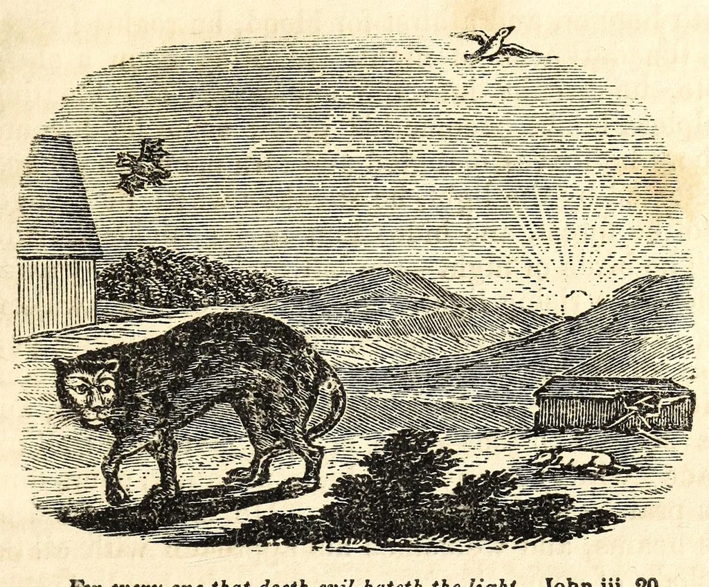 An illustration from Religious emblems : being a series of emblematic engravings, with written explanations, miscellaneous observations and religious reflections, designed to illustrate divine truth, in accordance with the cardinal principles of Christianity, 1850, leaf 161