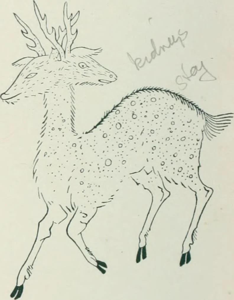 An illustration from The religious system of China, its ancient forms, evolution, history and present aspect, manners, customs and social institutions connected therewith. Published with a subvention from the Dutch colonial government, 1892, leaf 89