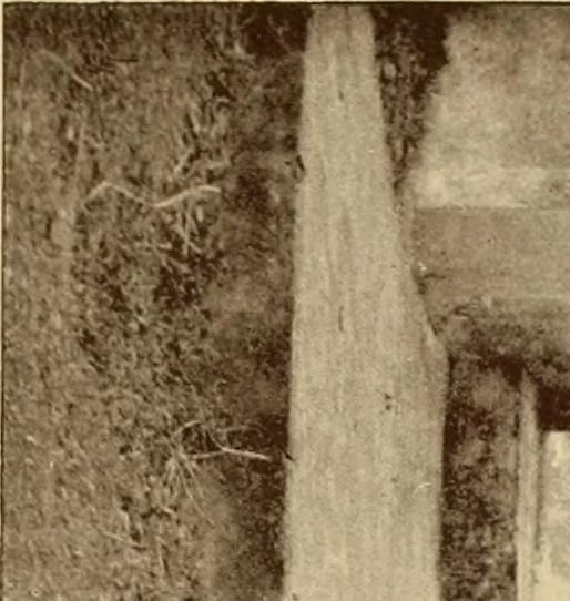 An illustration from The religious system of China, its ancient forms, evolution, history and present aspect, manners, customs and social institutions connected therewith, 1892, leaf 280