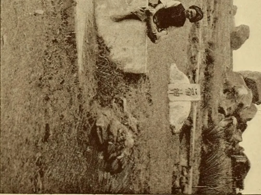 An illustration from The religious system of China, its ancient forms, evolution, history and present aspect, manners, customs and social institutions connected therewith, 1892, leaf 280