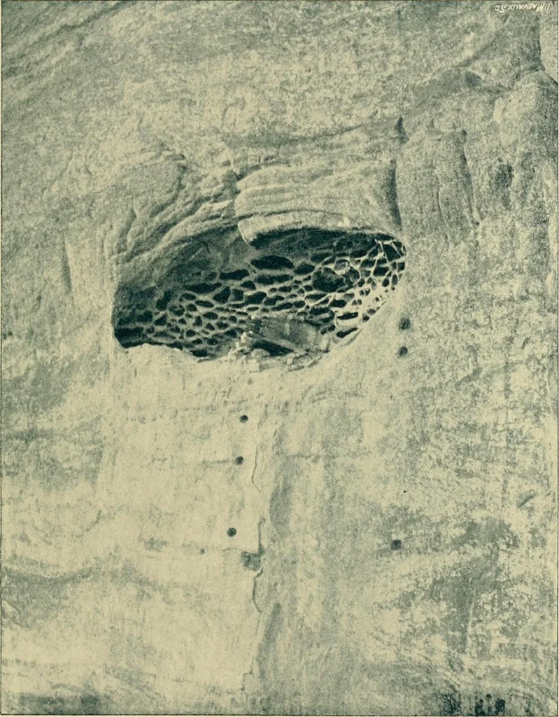 An illustration from The religious system of China, its ancient forms, evolution, history and present aspect, manners, customs and social institutions connected therewith, 1892, leaf 300