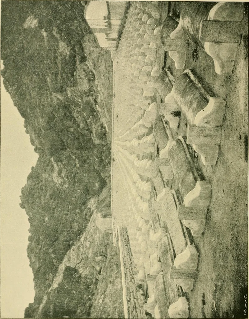 An illustration from The religious system of China, its ancient forms, evolution, history and present aspect, manners, customs and social institutions connected therewith, 1892, leaf 621