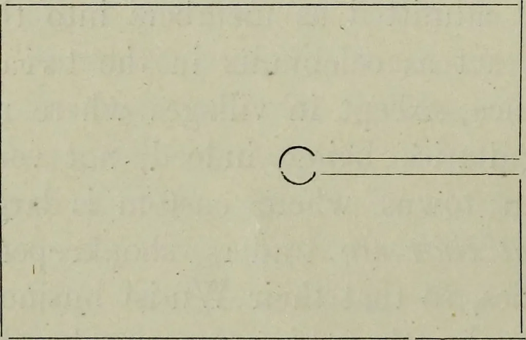 An illustration from The religious system of China, its ancient forms, evolution, history and present aspect, manners, custom and social institutions connected therewith, 1892, leaf 367