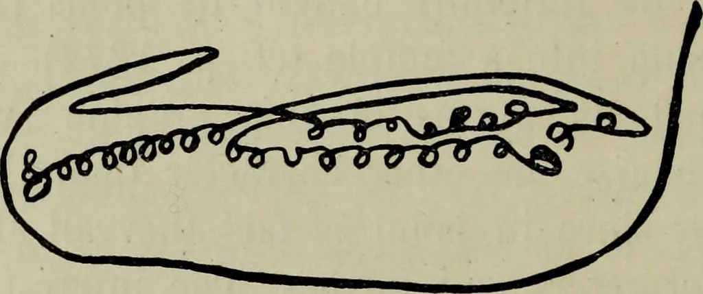 An illustration from The religious system of China, its ancient forms, evolution, history and present aspect, manners, custom and social institutions connected therewith, 1892, leaf 411