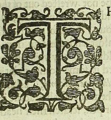 An illustration from Remaines, concerning Britaine: but especially England, and the inhabitants thereof. Their languages. Names. Surnames. Allusions. Anagrammes. Armories. Monies. Empreses. Apparell. Artillary. Wise speeches. Prouerbs. Poesies. Epitaphs, 1623, leaf 159