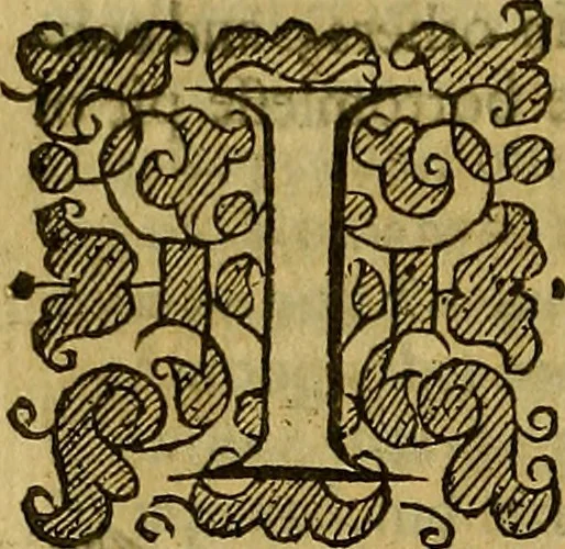 An illustration from Remaines concerning Britaine : their Languages. Names. Surnames. Allusions. Anagrammes. Armories. Monies. Empresses. Apparell. Artillarie. Wise speeches. Proverbs. Poesies. Epitaphes., 1636, leaf 169