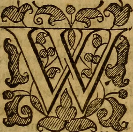 An illustration from Remaines concerning Britaine : their Languages. Names. Surnames. Allusions. Anagrammes. Armories. Monies. Empresses. Apparell. Artillarie. Wise speeches. Proverbs. Poesies. Epitaphes., 1636, leaf 216