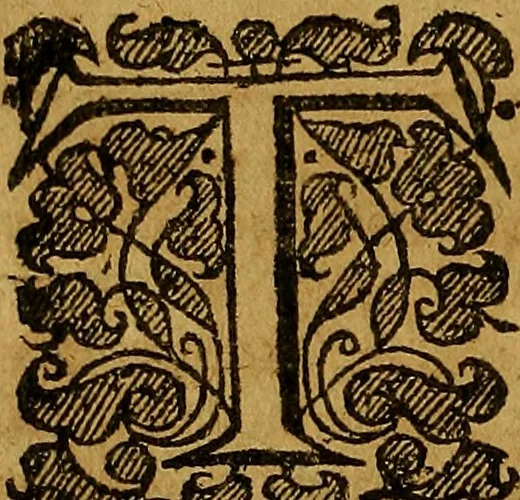 An illustration from Remaines concerning Britaine : their Languages. Names. Surnames. Allusions. Anagrammes. Armories. Monies. Empresses. Apparell. Artillarie. Wise speeches. Proverbs. Poesies. Epitaphes., 1636, leaf 241