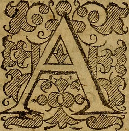 An illustration from Remaines concerning Britaine : their Languages. Names. Surnames. Allusions. Anagrammes. Armories. Monies. Empresses. Apparell. Artillarie. Wise speeches. Proverbs. Poesies. Epitaphes., 1636, leaf 352