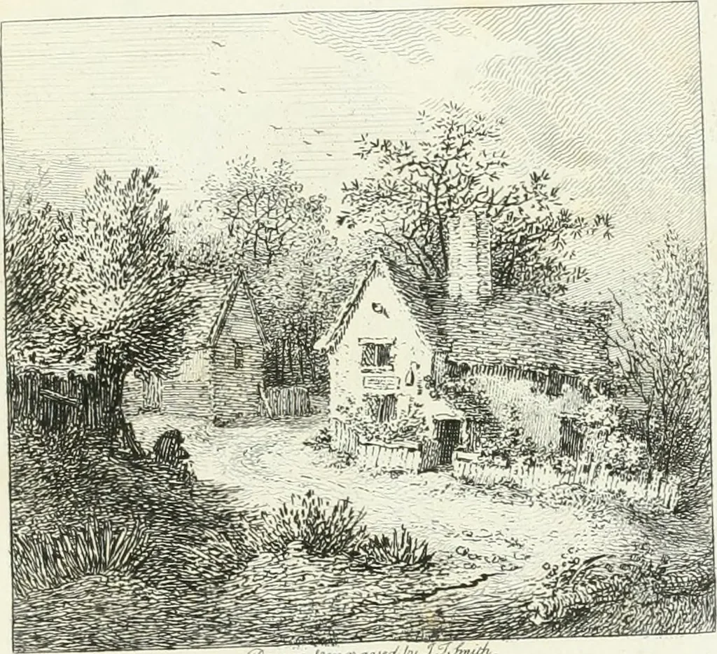An illustration from Remarks on rural scenery : with twenty etchings of cottages, from nature : and some observations and precepts relative to the pictoresque, 1797, leaf 40