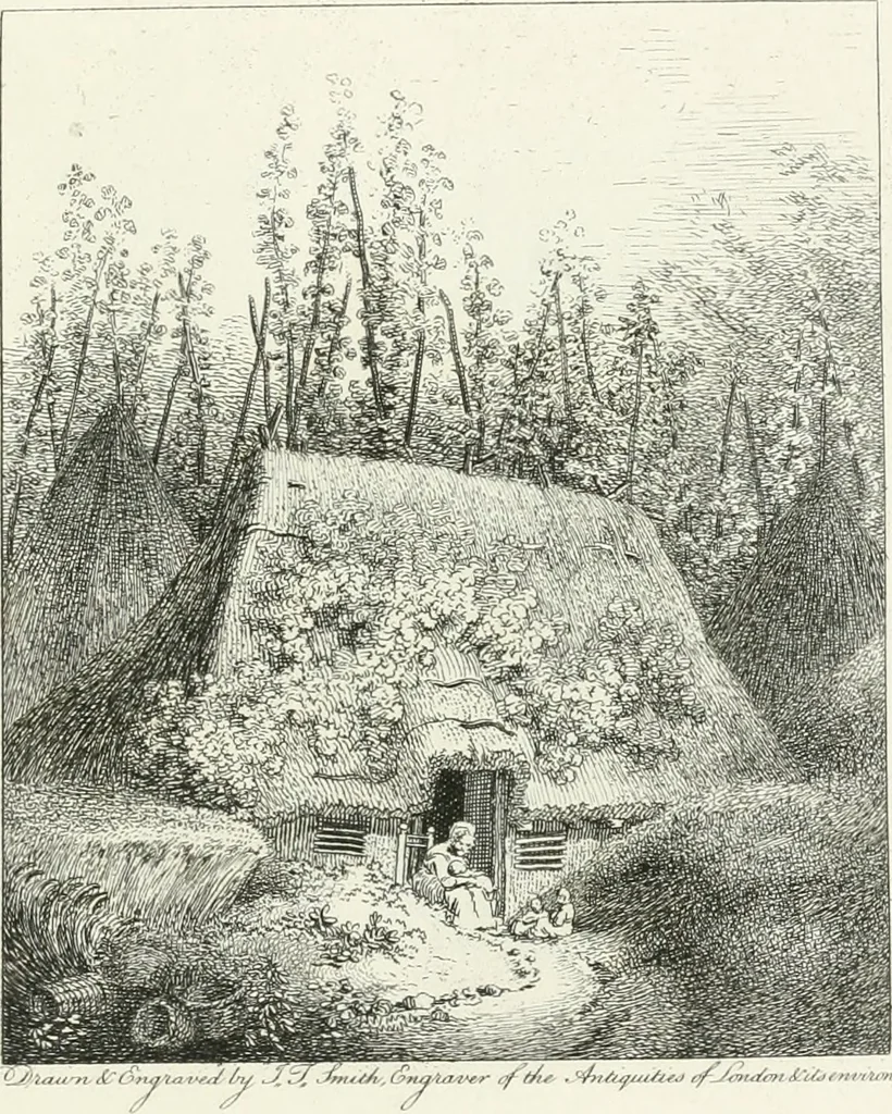 An illustration from Remarks on rural scenery : with twenty etchings of cottages, from nature : and some observations and precepts relative to the pictoresque, 1797, leaf 56